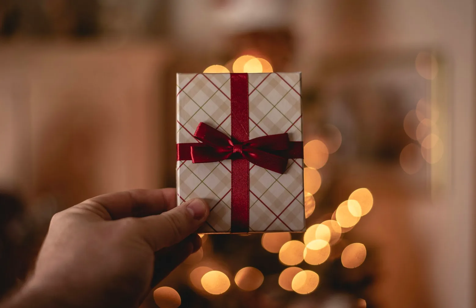 Hand holding a small wrapped gift